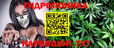 крисы Гудермес