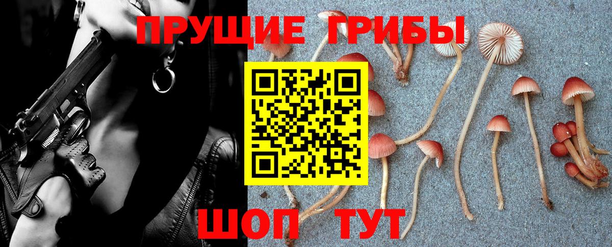 продажа наркотиков  Вход с VPN  Зерноград  Галлюциногенные грибы ЛСД 